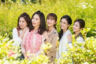 台剧一家人在线观看,温情脉脉的家庭故事  第1张